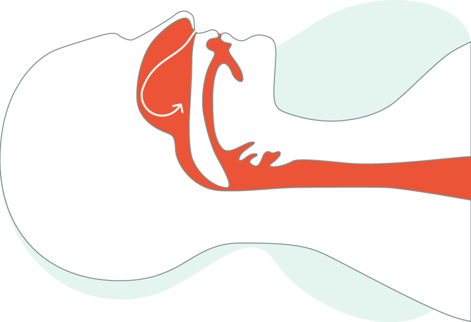 Diagram of Airway